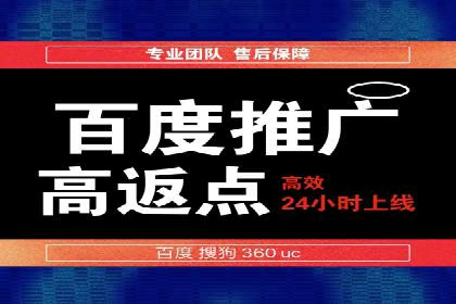 行业标杆的SEM竞价营销案例研究